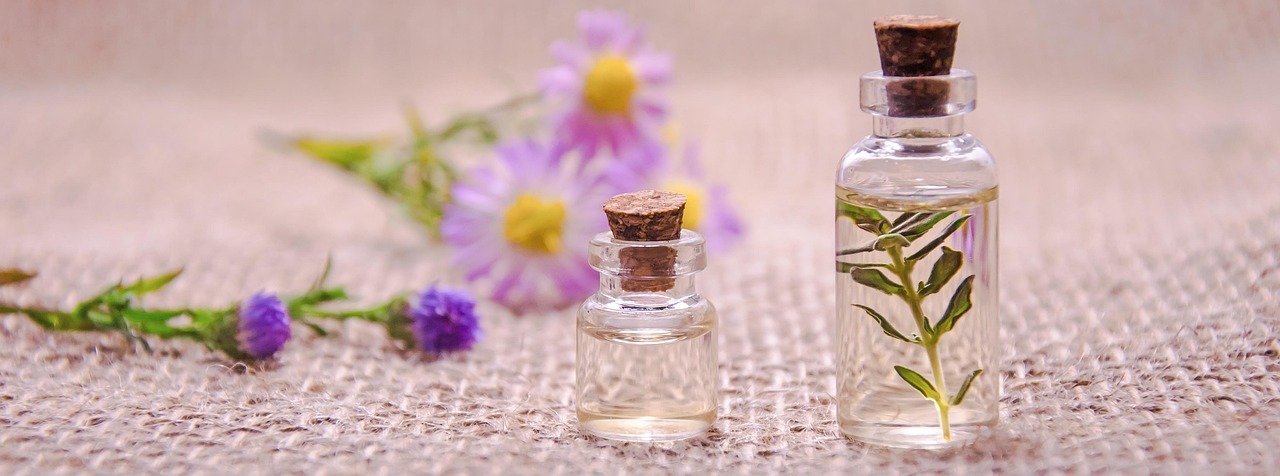 How Fennel Essential Oil Is Made: Steam Distilling the Crushed Seed