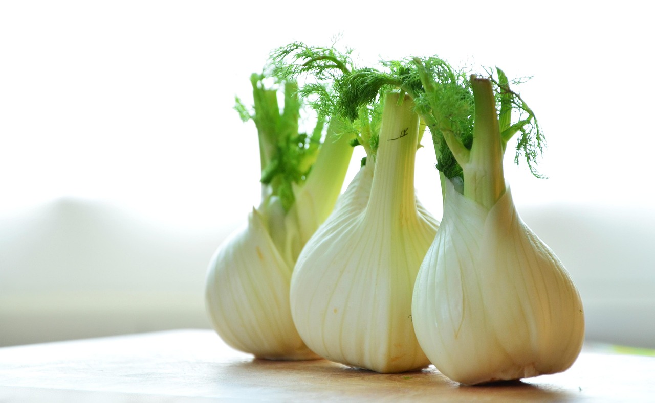 Sweet Fennel vs Bitter Fennel Oil: Know Which Bottle You Are Buying