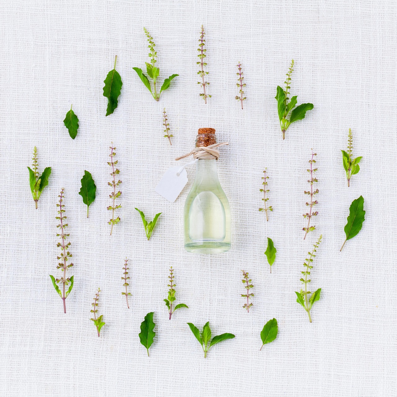 Wholesale Fennel Essential Oil: Bulk Sizes for Makers